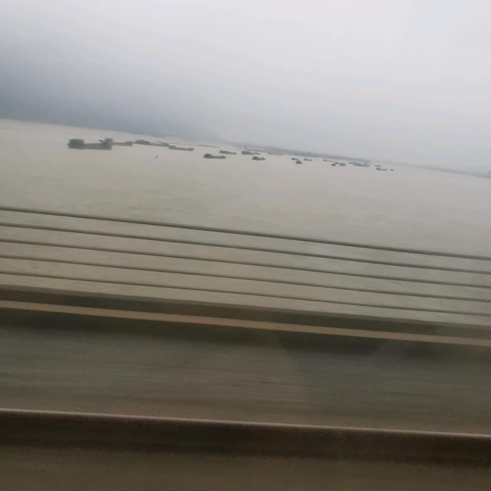 龙腾四海