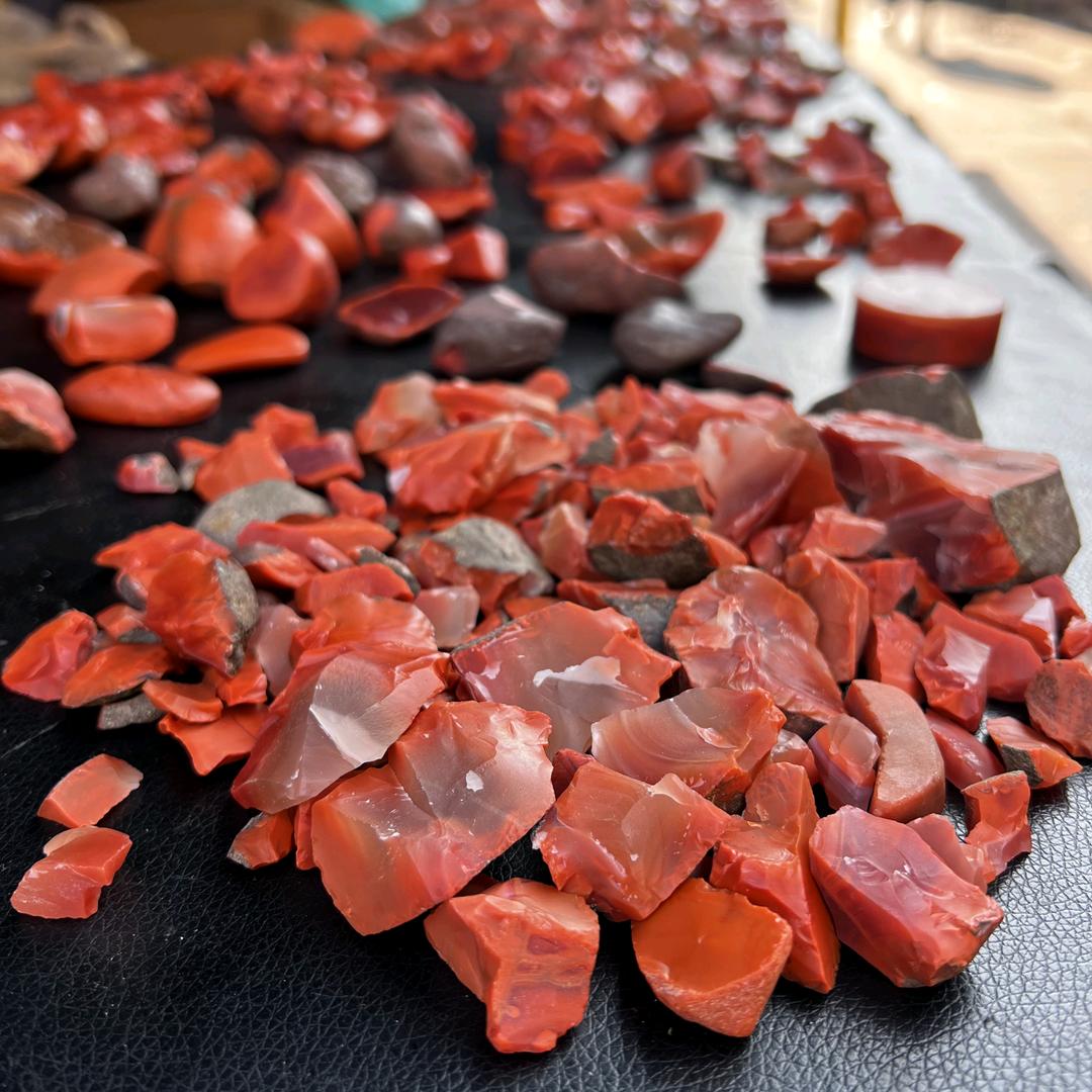 兔子爱喝牛啵啵儿