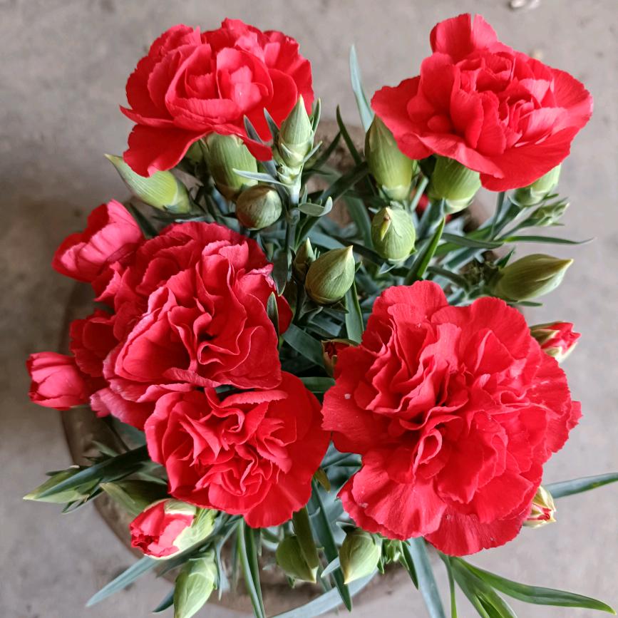 早晨阳光🌹