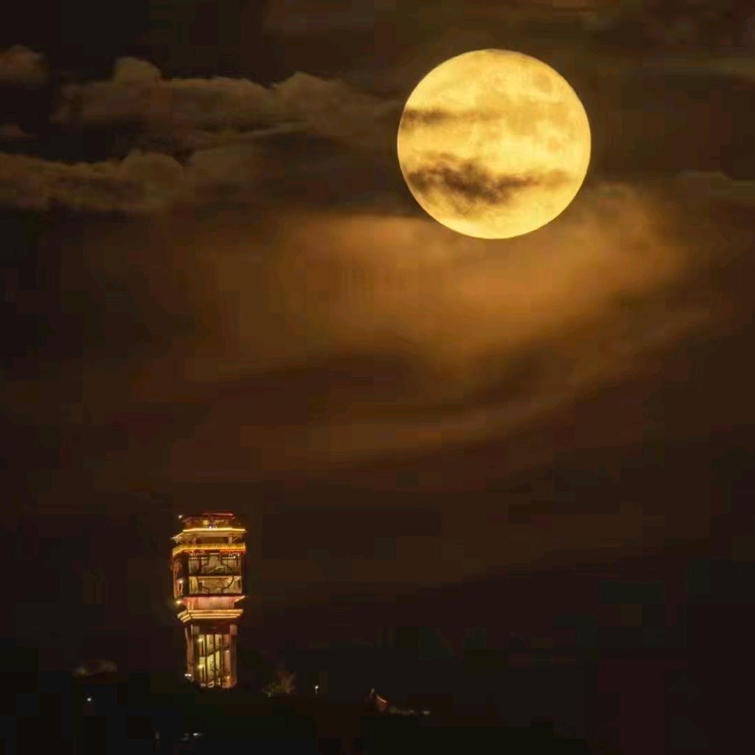 @ღ᭄ꫛ别动情 ꧔ꦿ᭄会伤ꦿꦿ࿐ᩚ