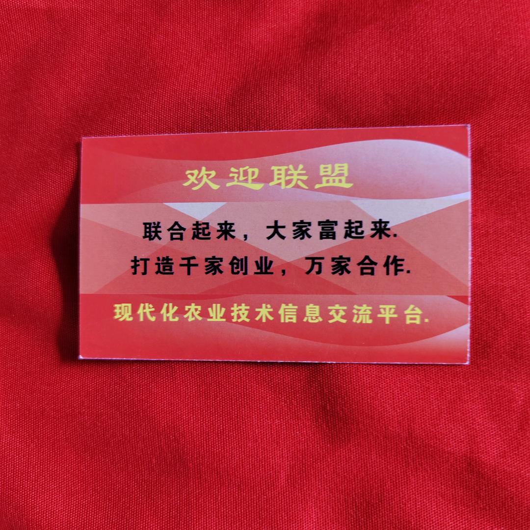 创业的路上