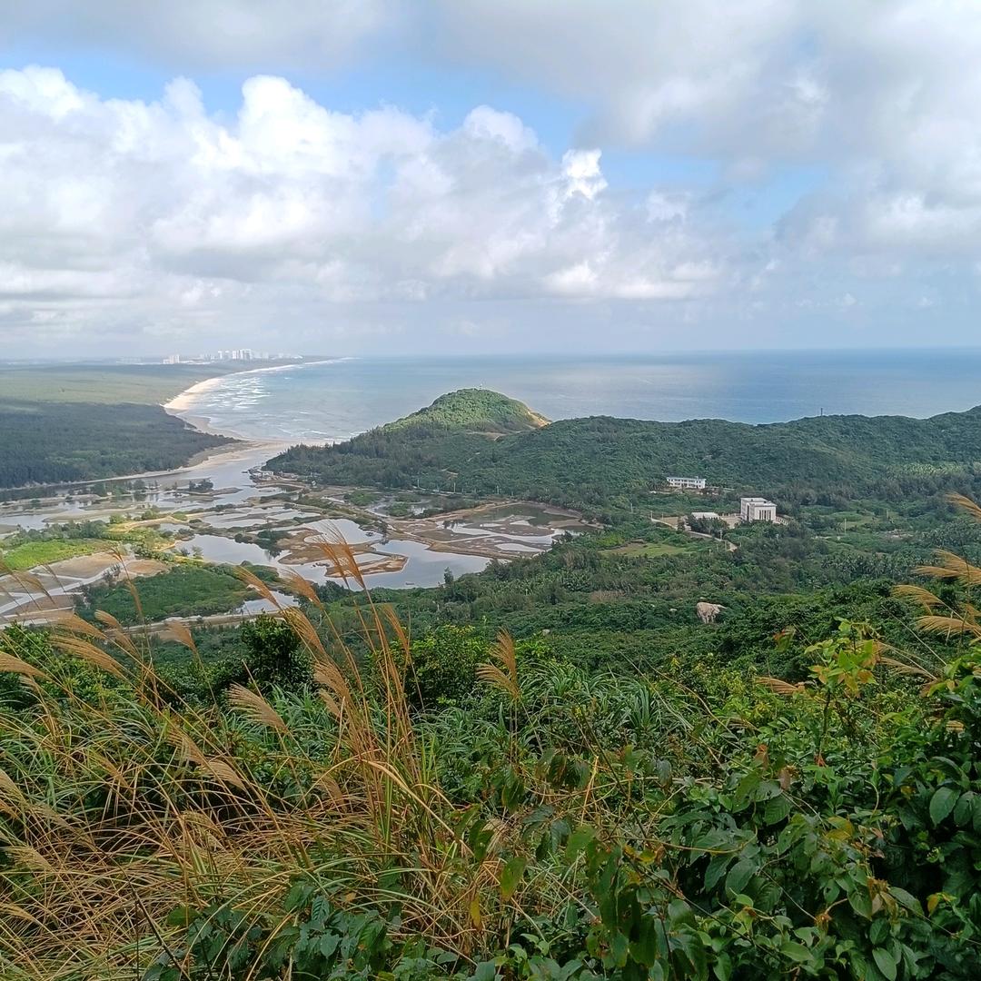 大兵