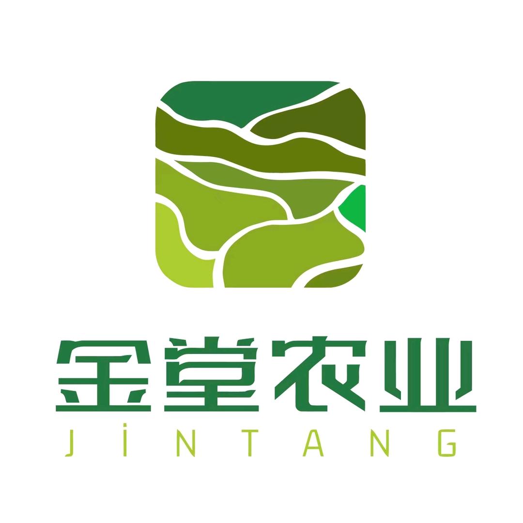 金堂田岭涧羊肚菌