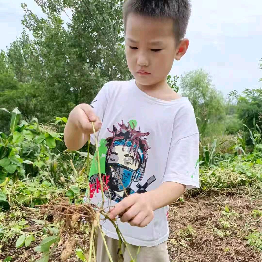 冷大姐