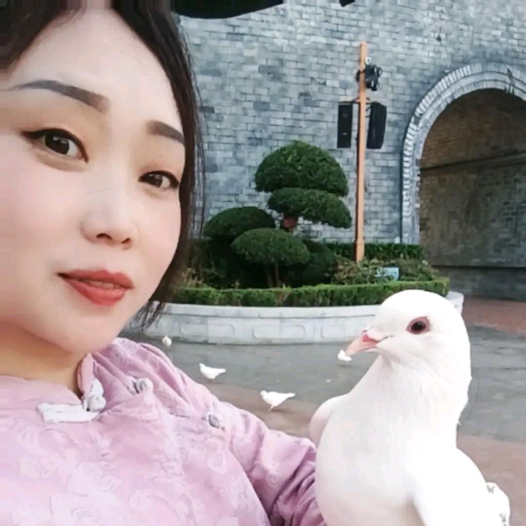 红颜旧