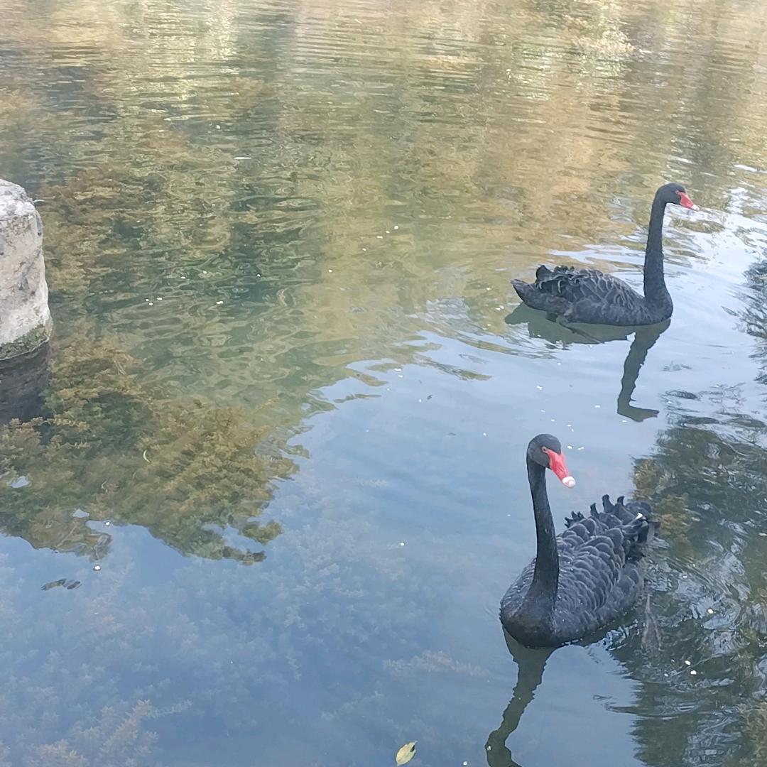 💞靖美₍˄·͈༝·͈˄₎◞ ̑̑