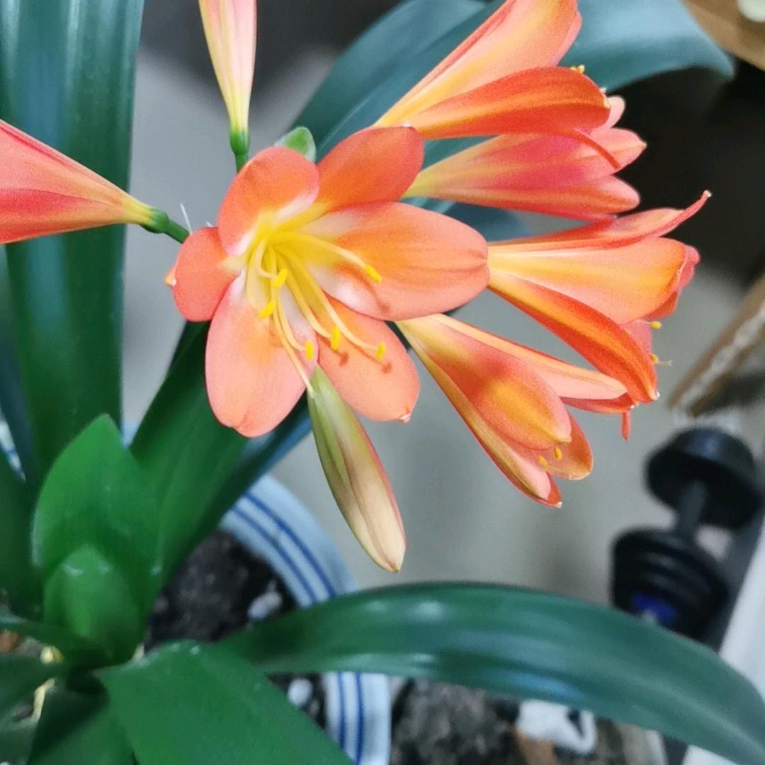 点关注