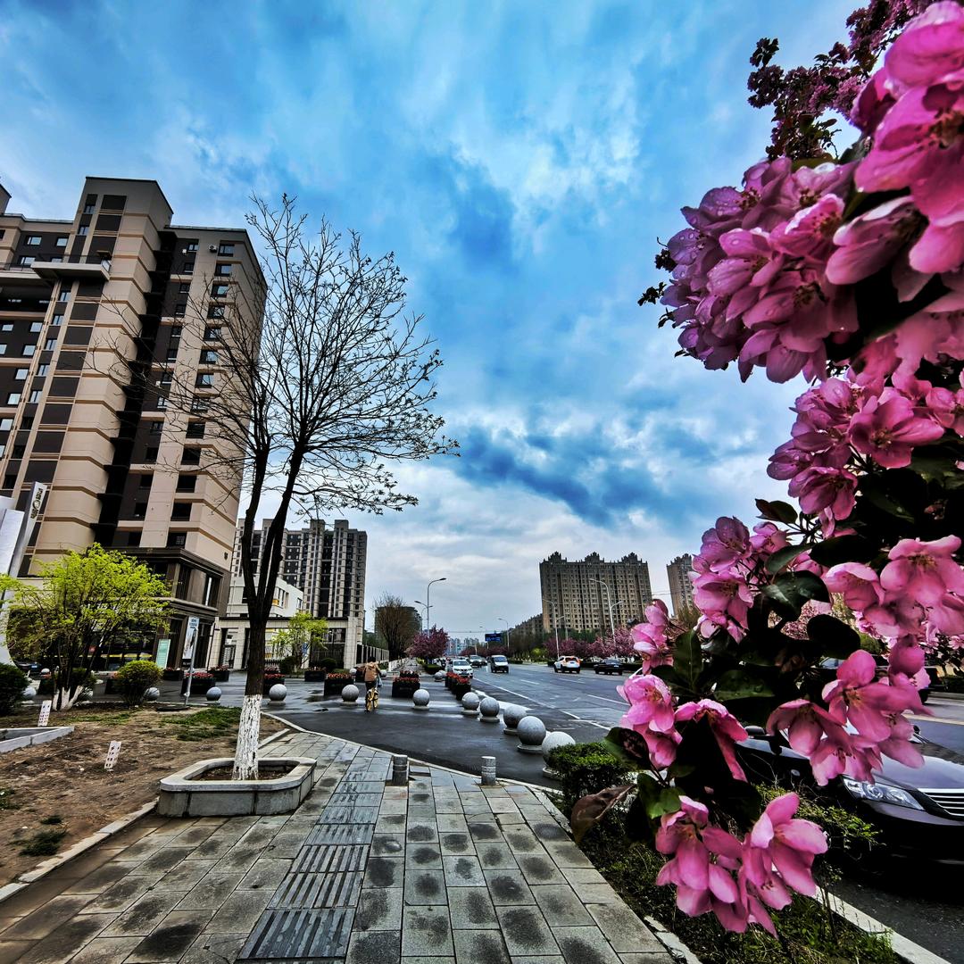 一蓑烟雨.