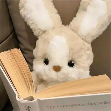 小萌阁中古毛绒玩具