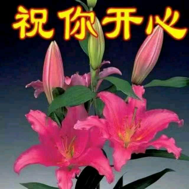 你若安好我便睛天