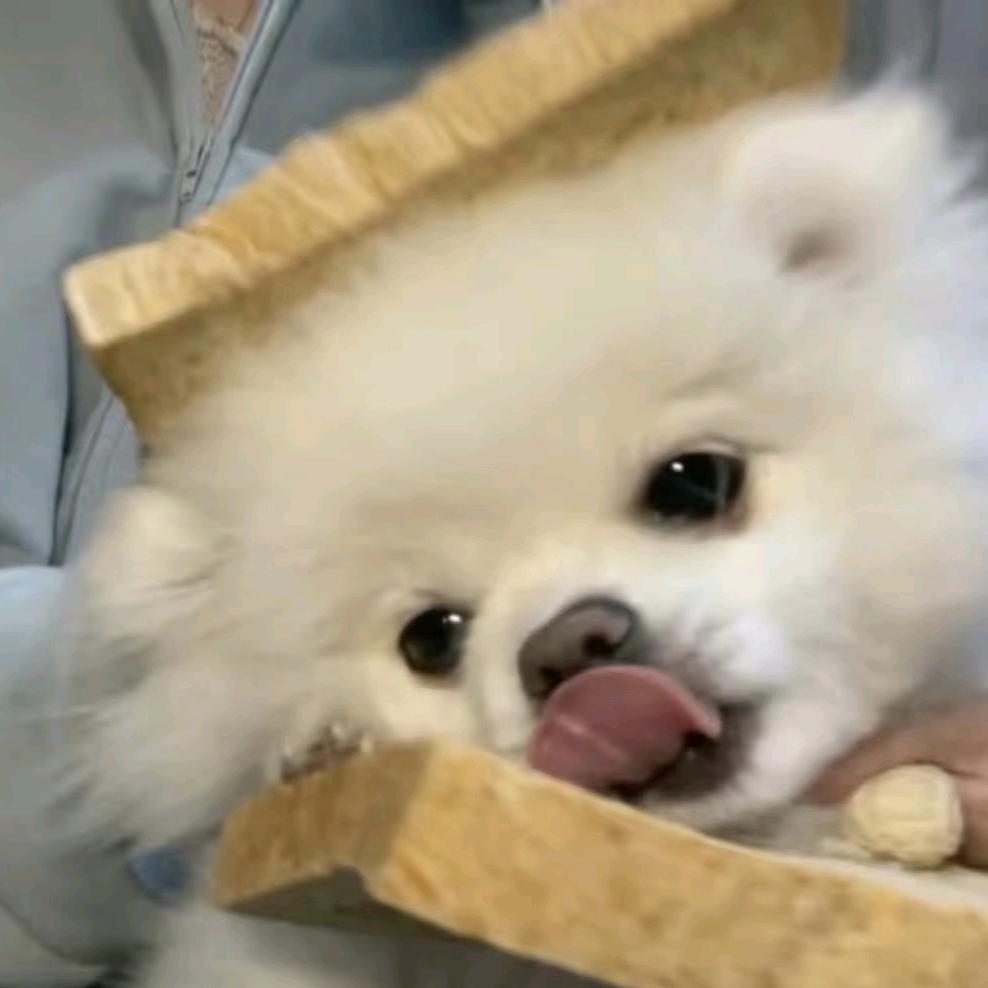 野味