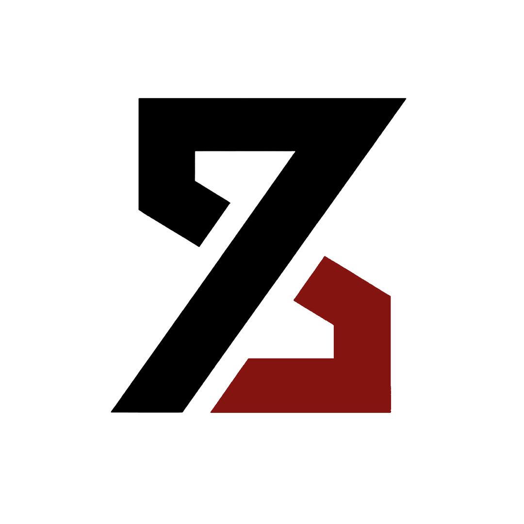 ZS记录世界