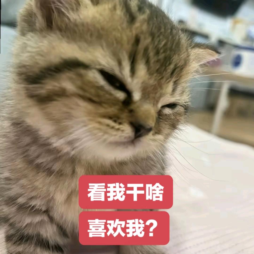 笙（已黑化）