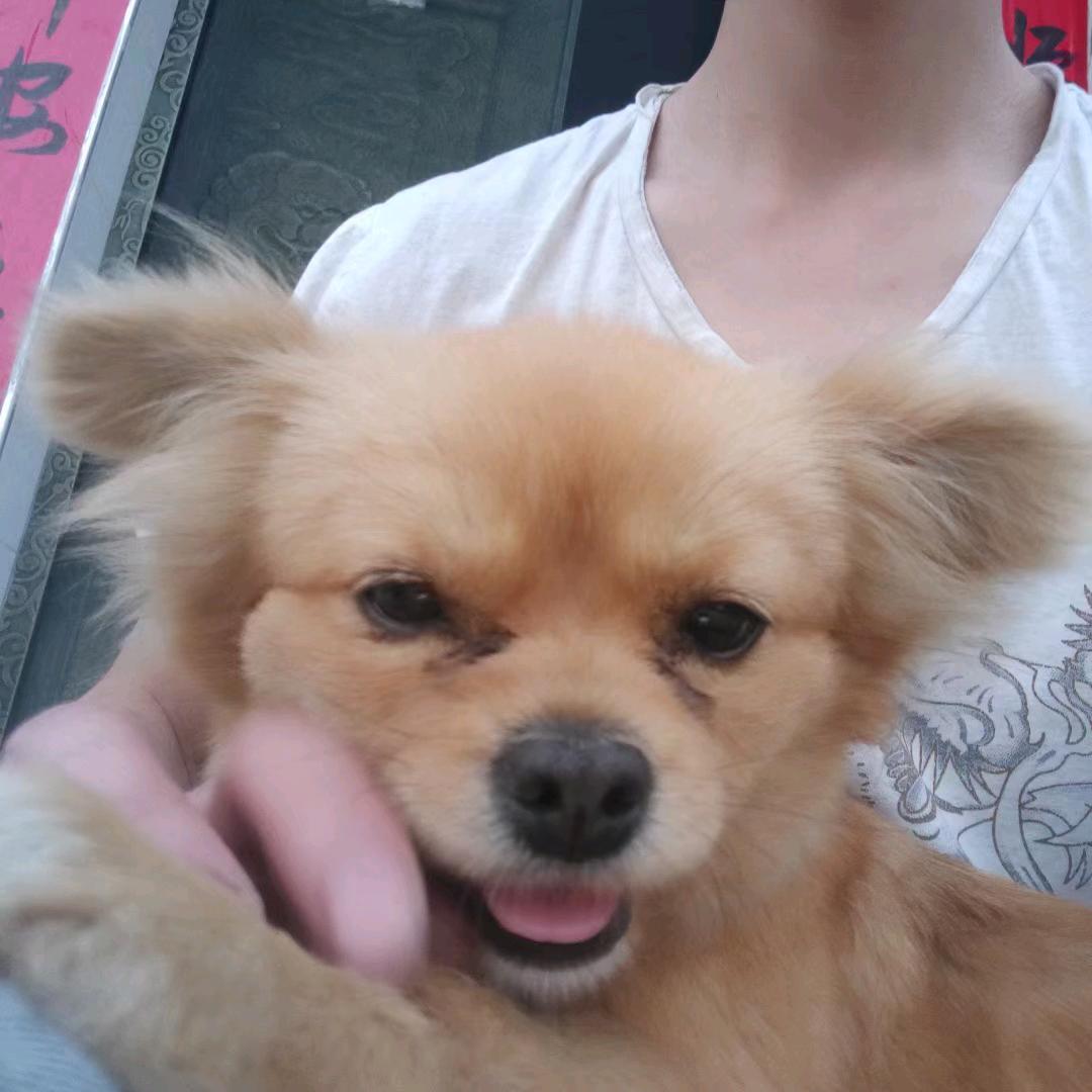 只求一瞬间