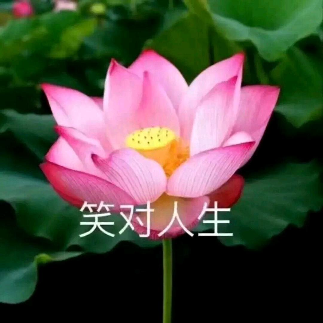 %开心快乐