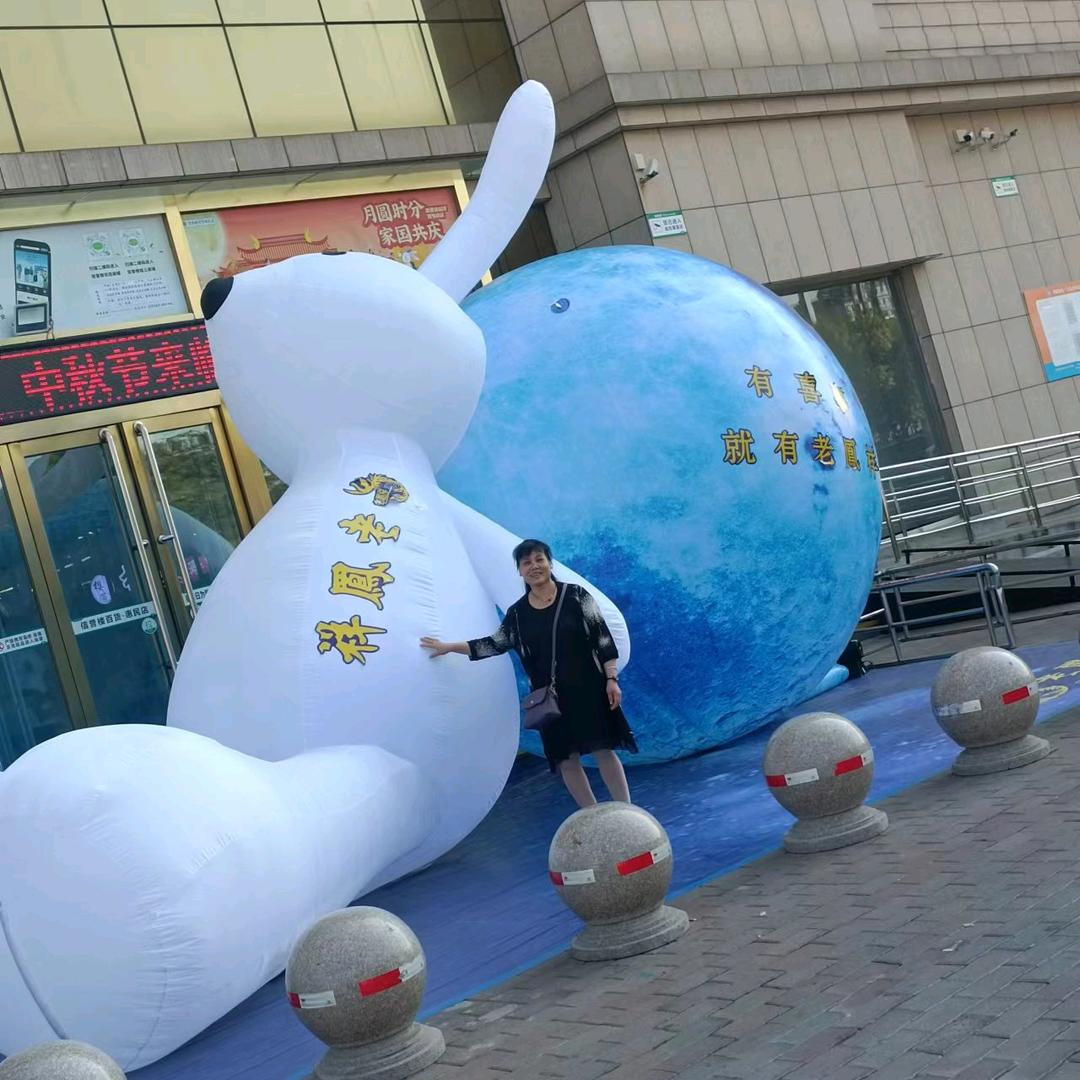 余生随心