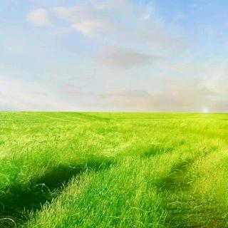 ZUNVO楼不直播号