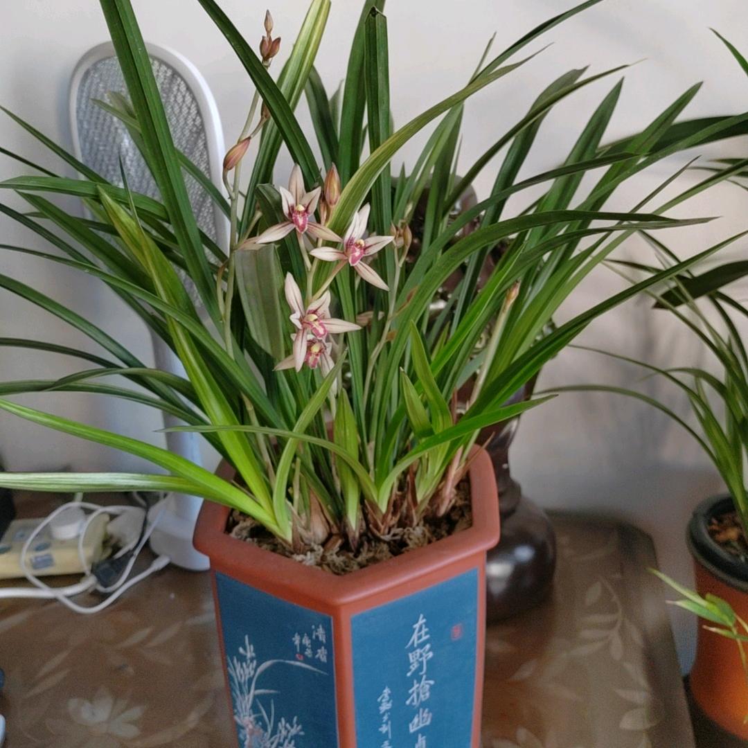 🌈🌈🌈 一帘幽梦