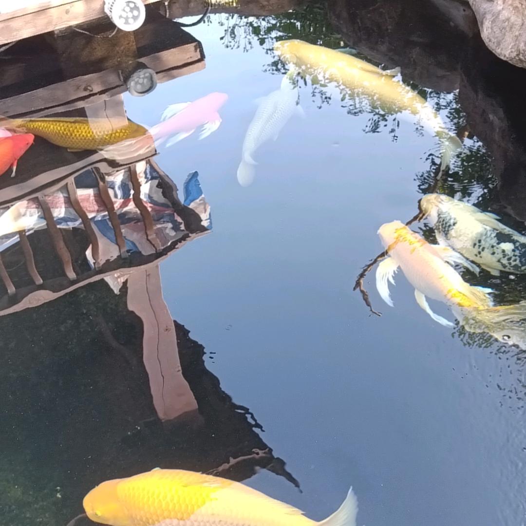 曾好吃，鲜卤