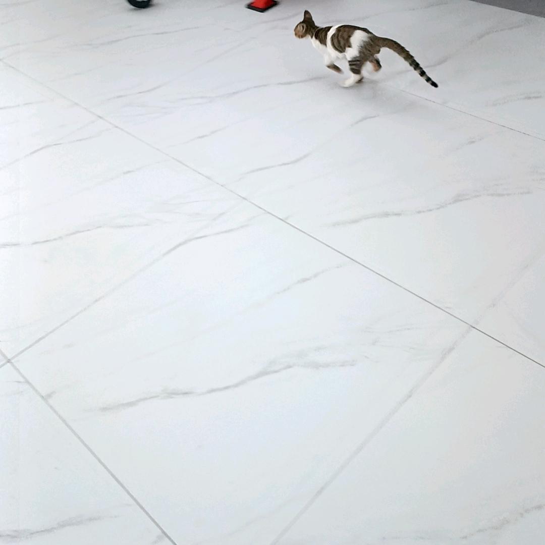 萍乡美食达人