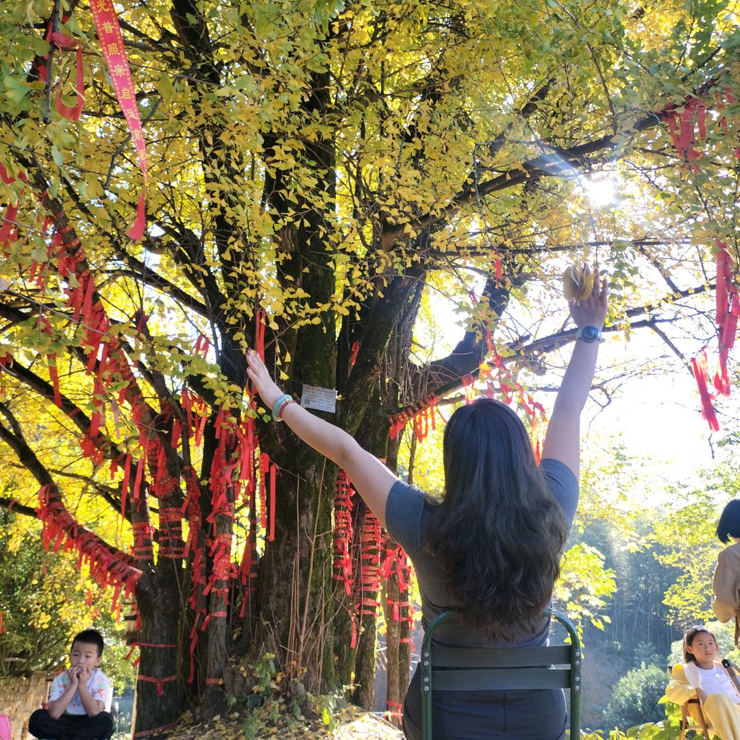 书写精彩瞬间。