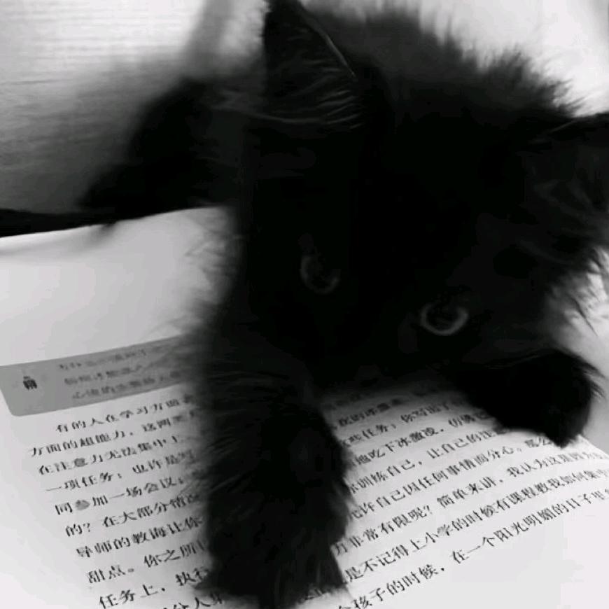 嘉陵水绿