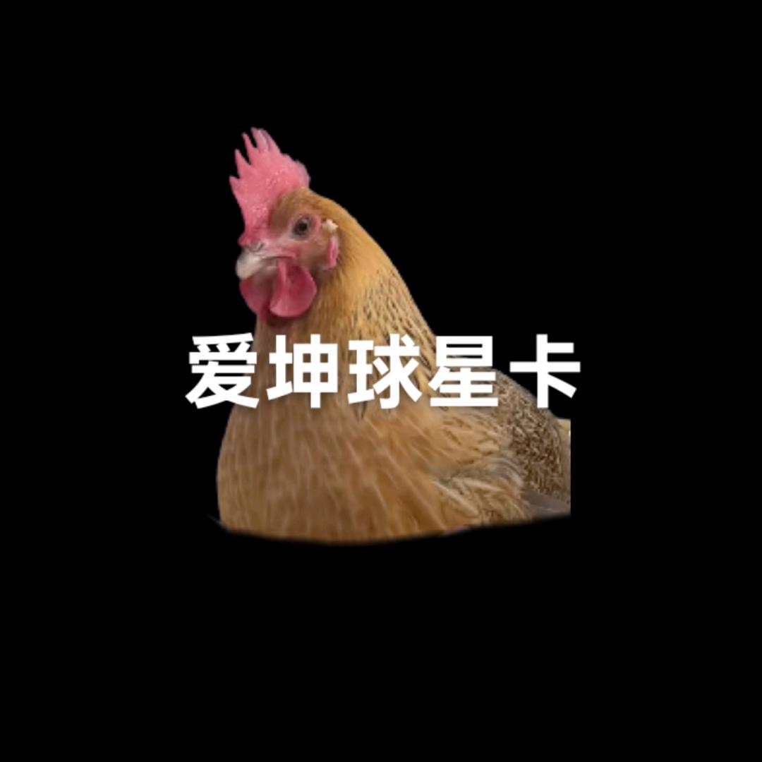 爱坤球星卡