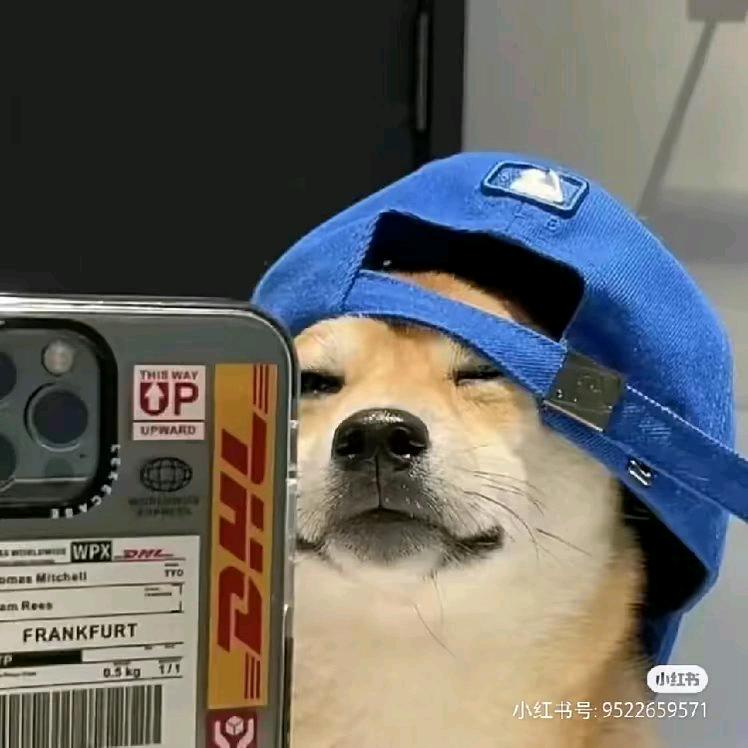 就叫李佳燃