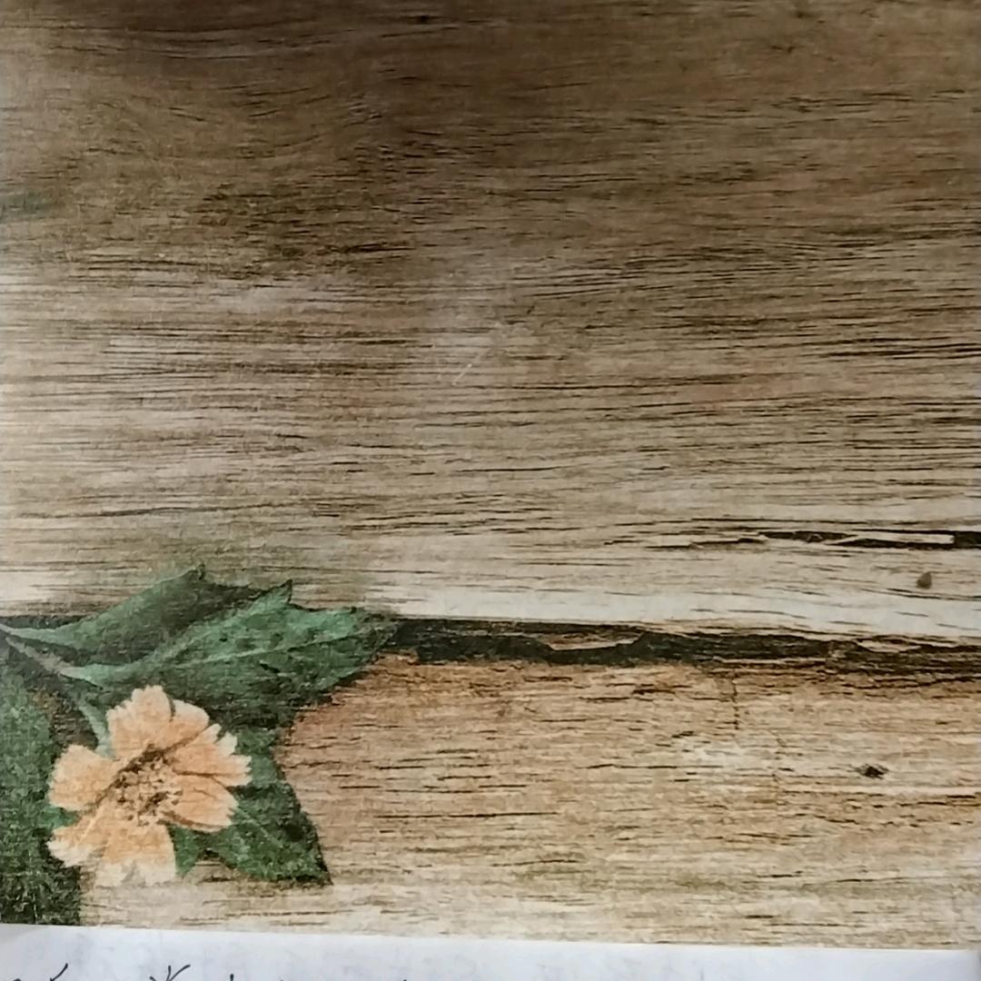 乖一点就撩你哦⊙∀⊙