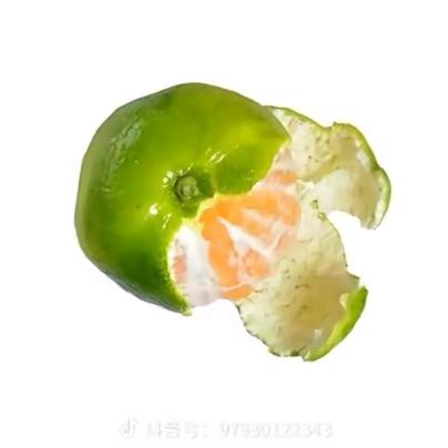 小灰灰要吃肉