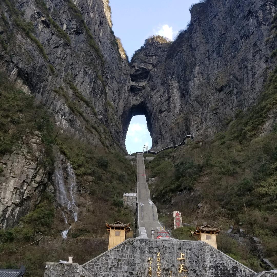 老毛