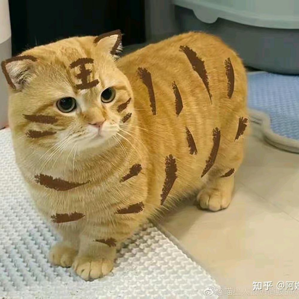 敢敢超级棒！！！！