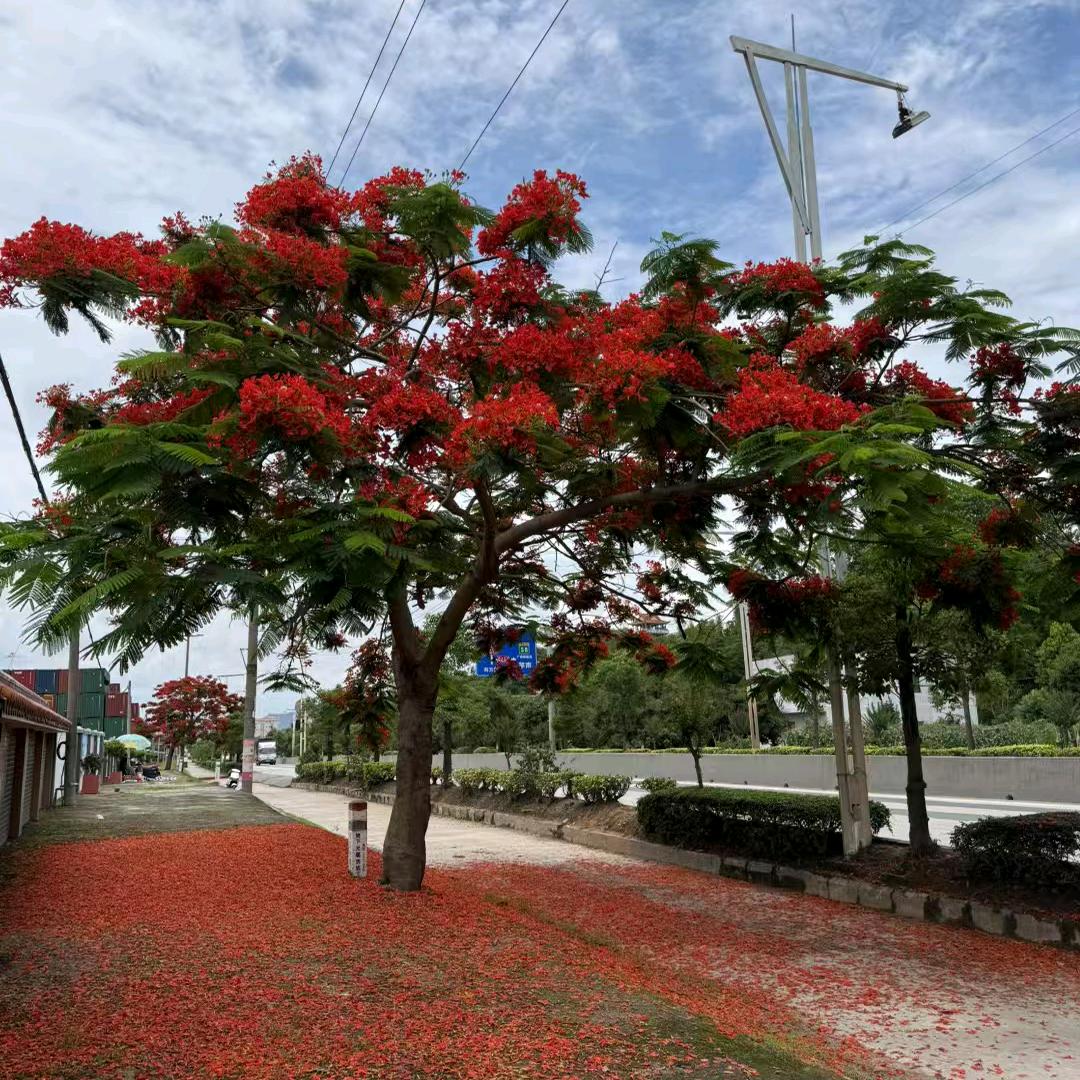 滁州勇胜新能源科技有限公司