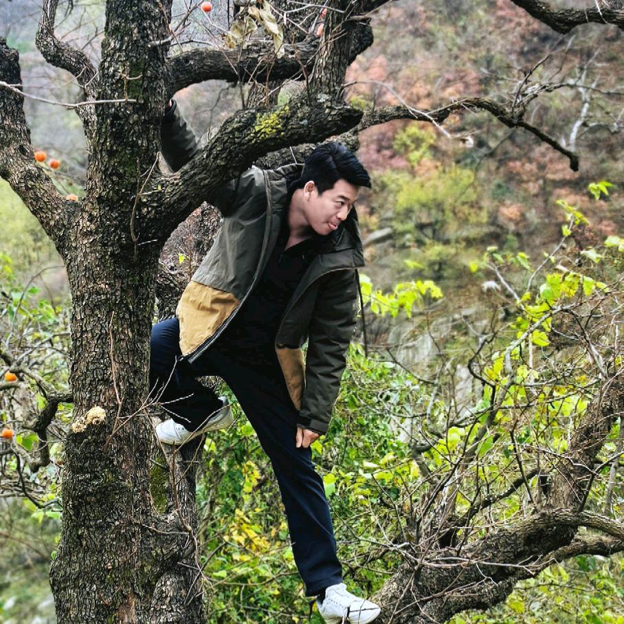 王多鱼的幸福生活
