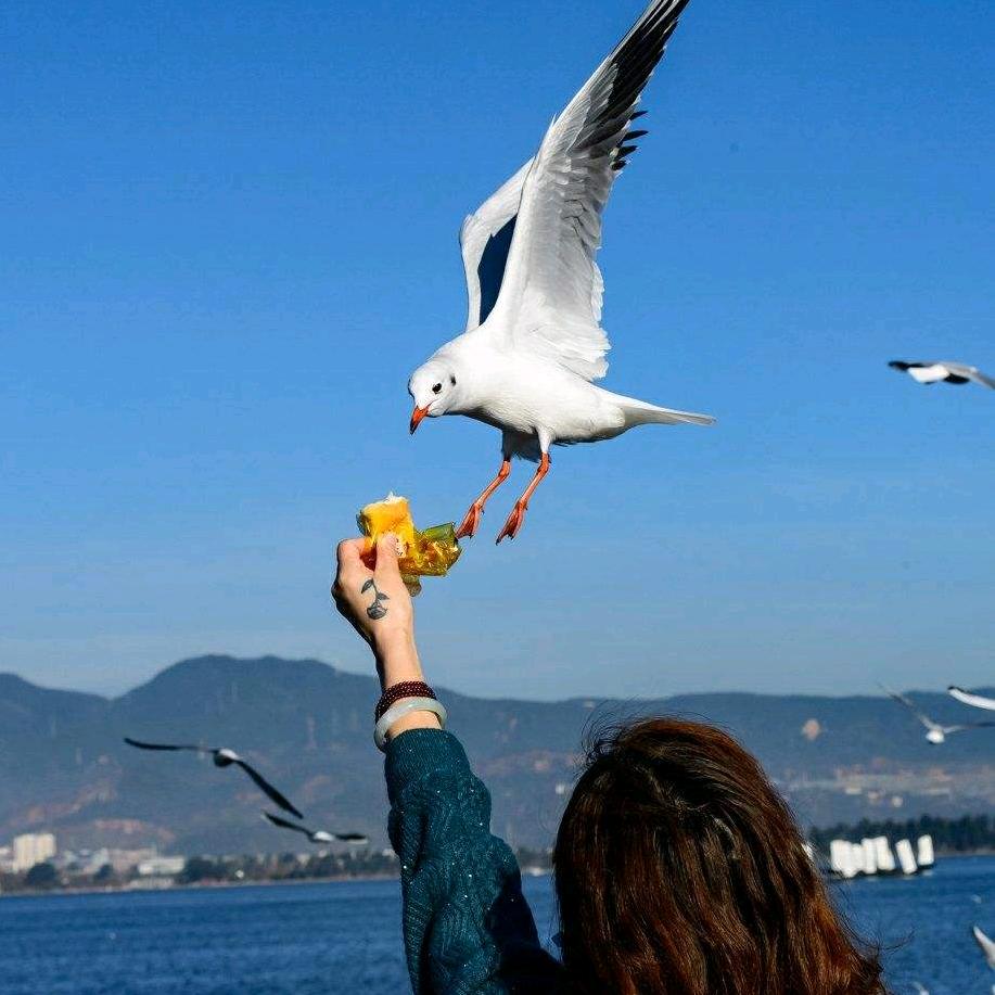 春風