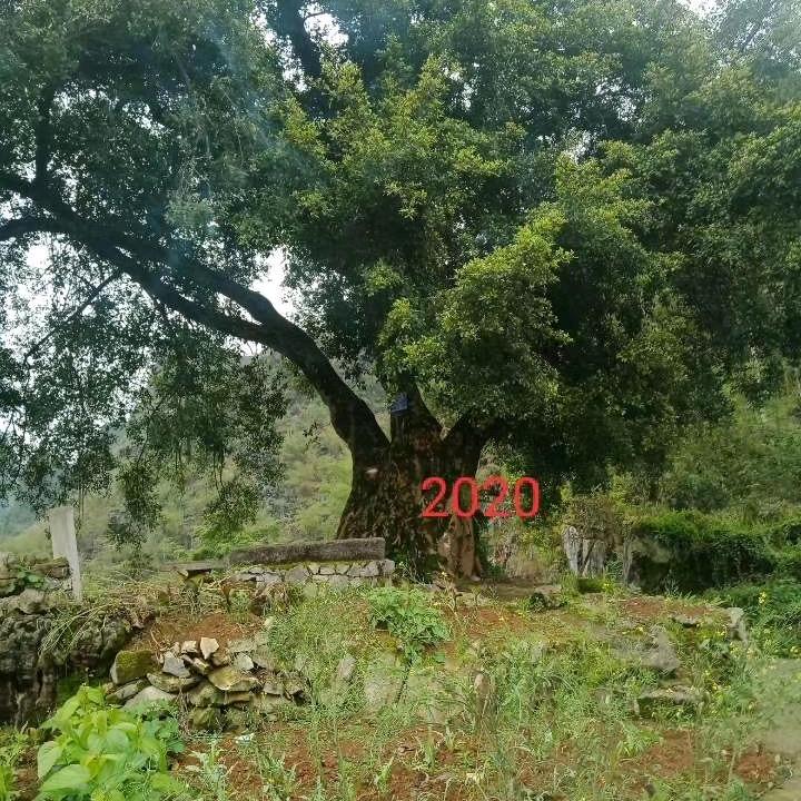 用户6706478949169心中有你