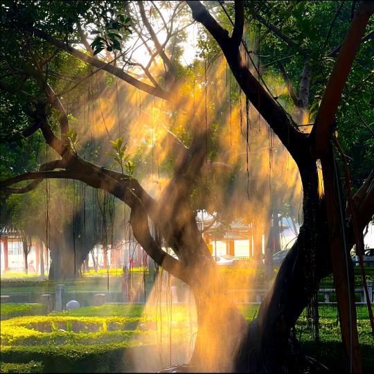 非凡网络技术臻选阁