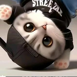 II O战队，石宏垚