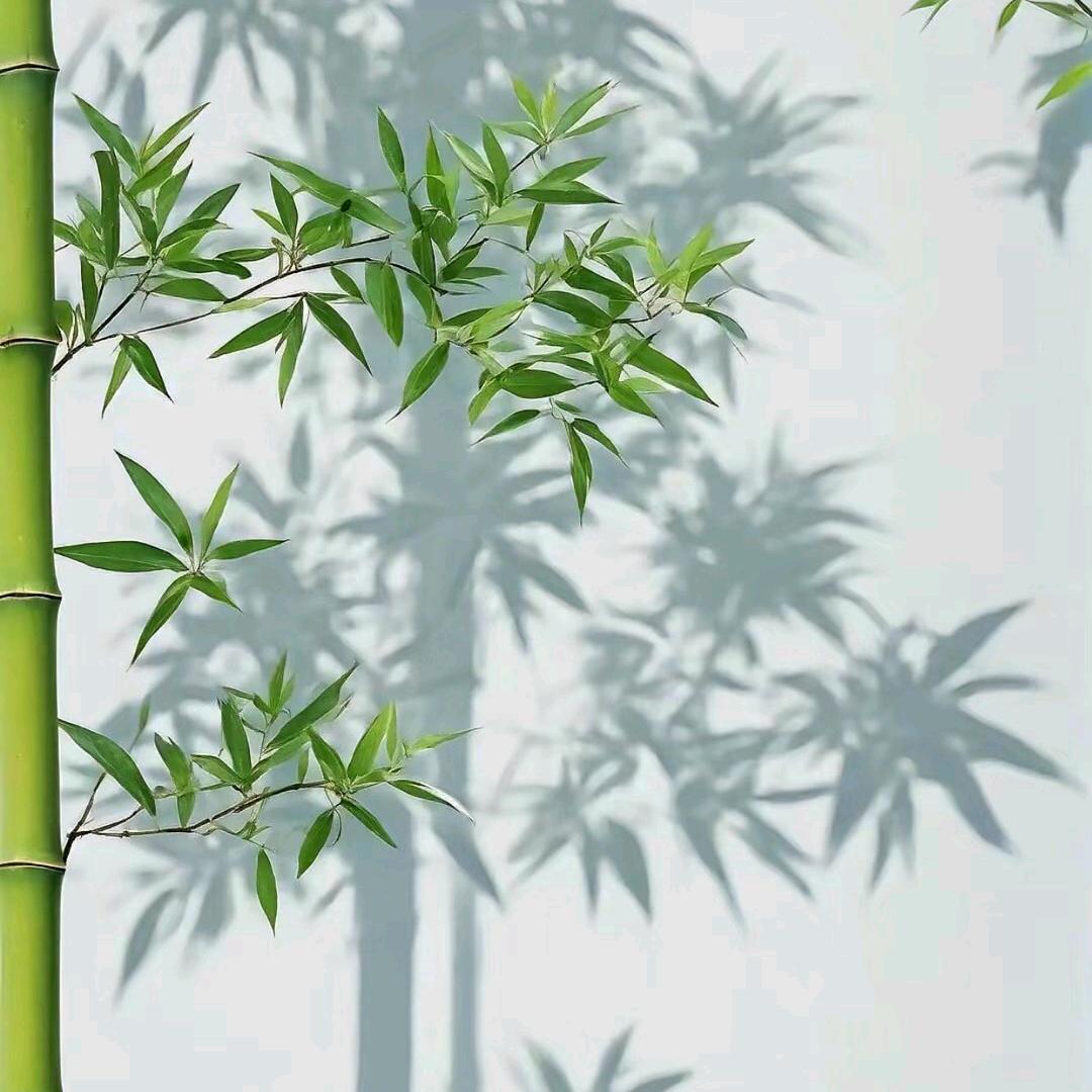 余笙
