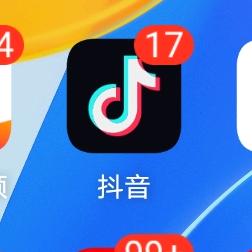 姐妹十八一枝花