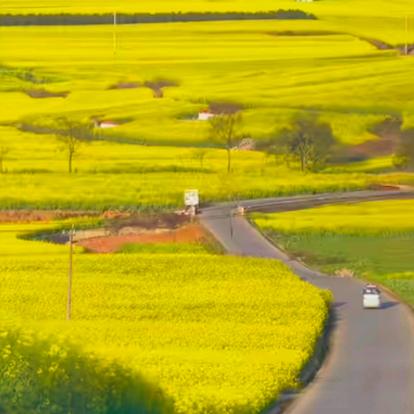 仁净和面馆(万象新天万卷府店)仁净和客服号