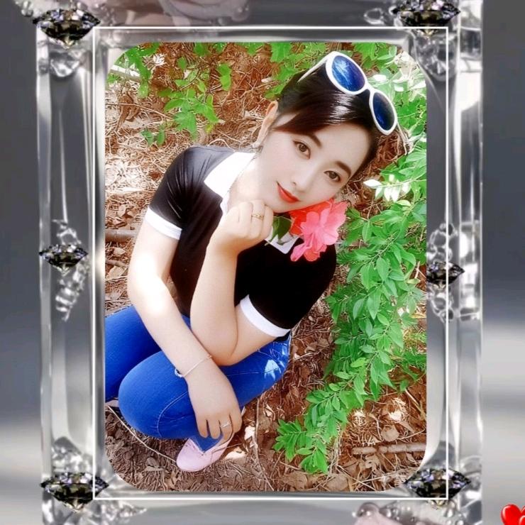 🌺雪莲花🌸