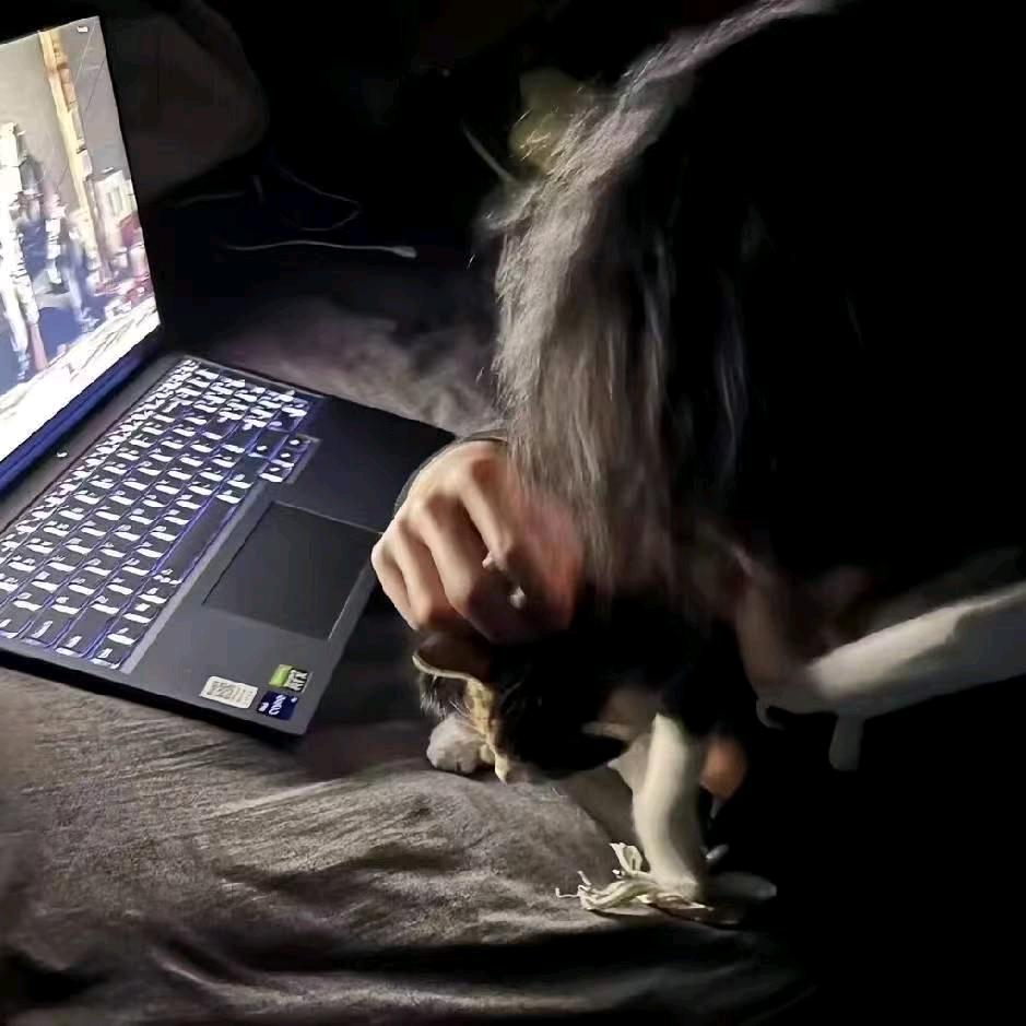 爱睡觉的闪电侠