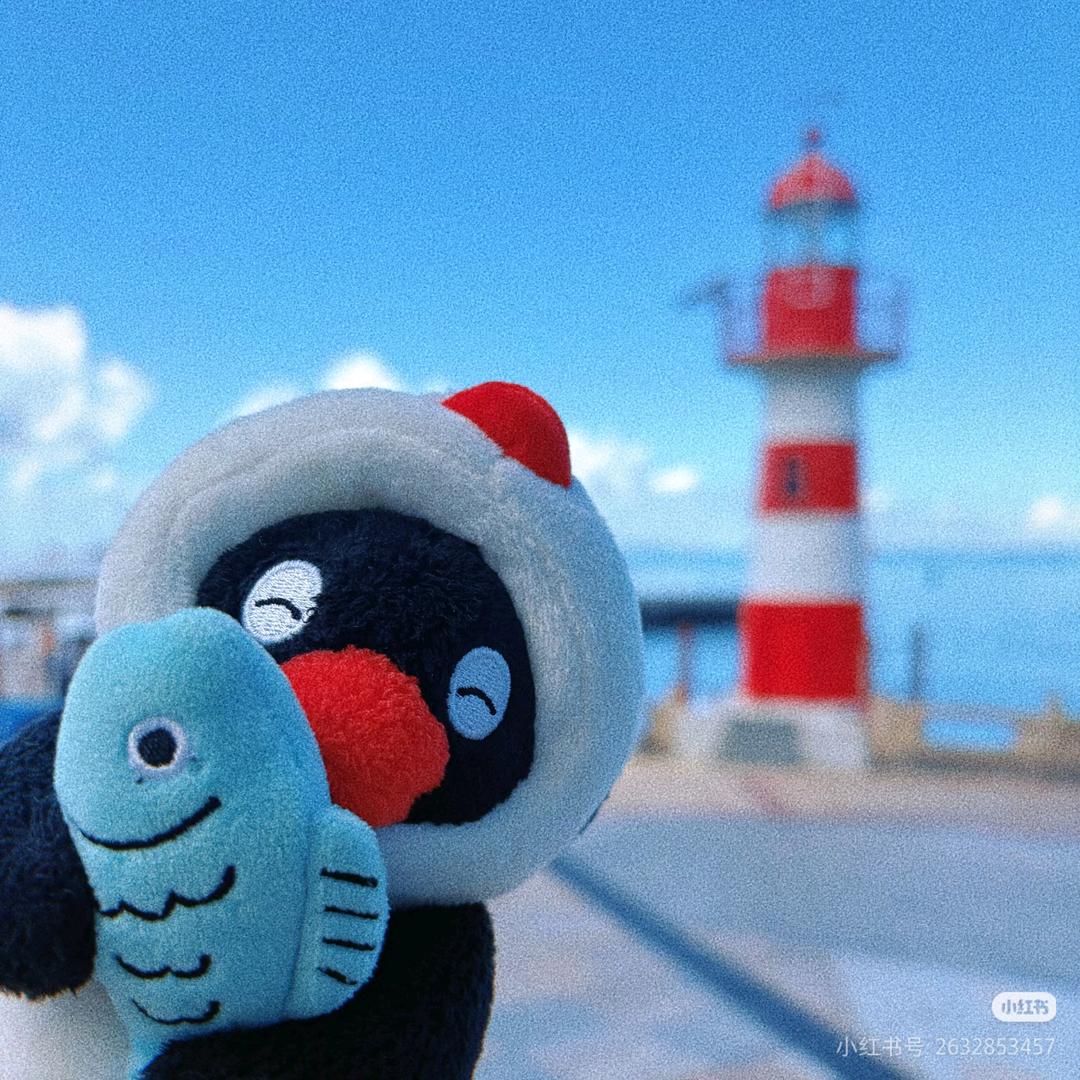 同一条河流