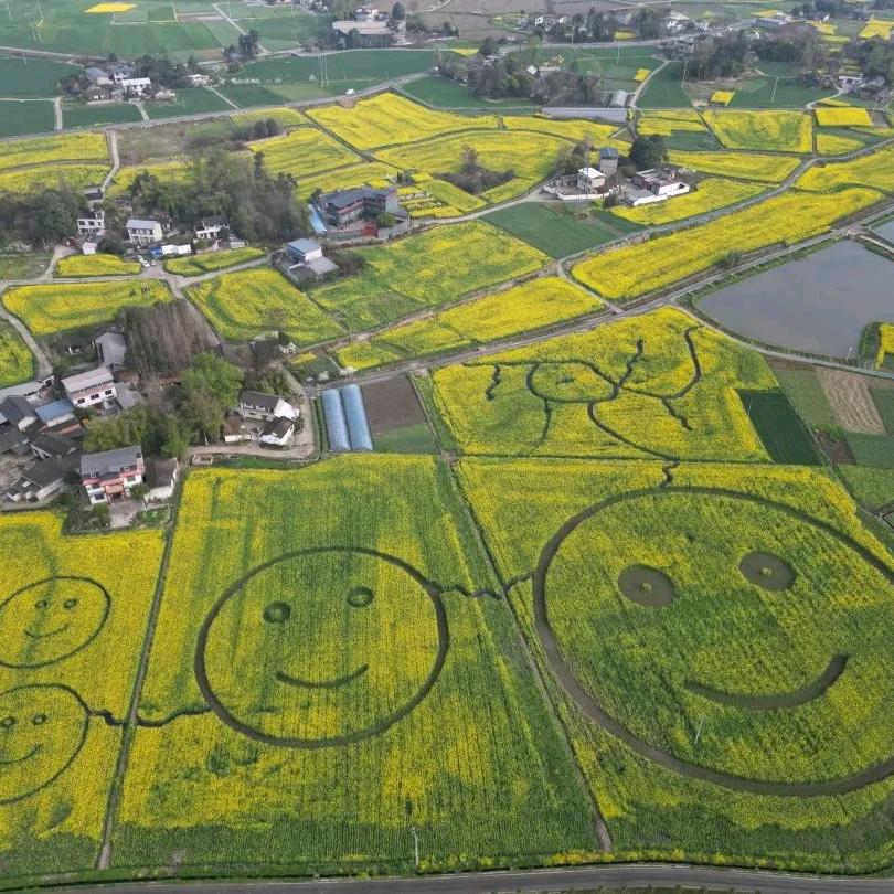 泉印心都（直播号）