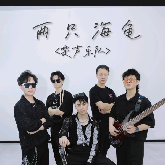 两只海龟🎤<雯声乐队>