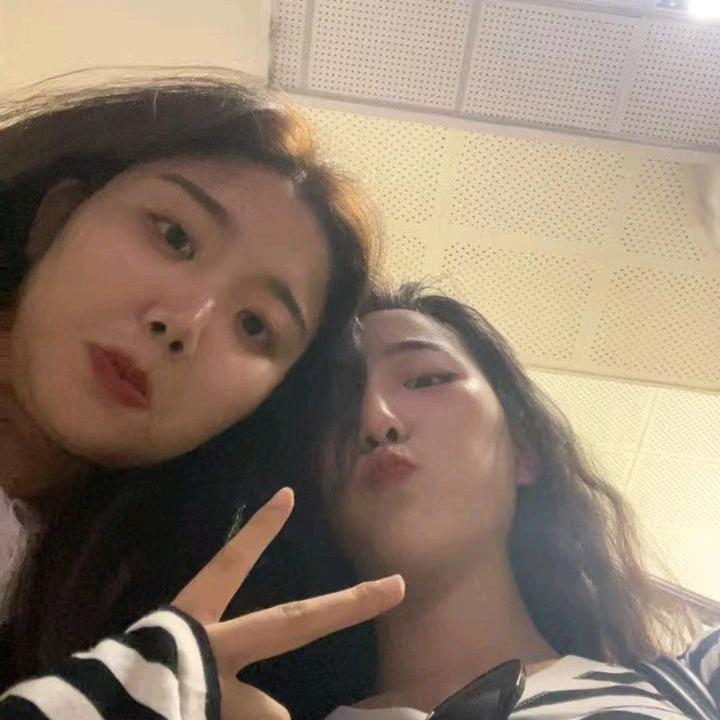 北海的菊花开了