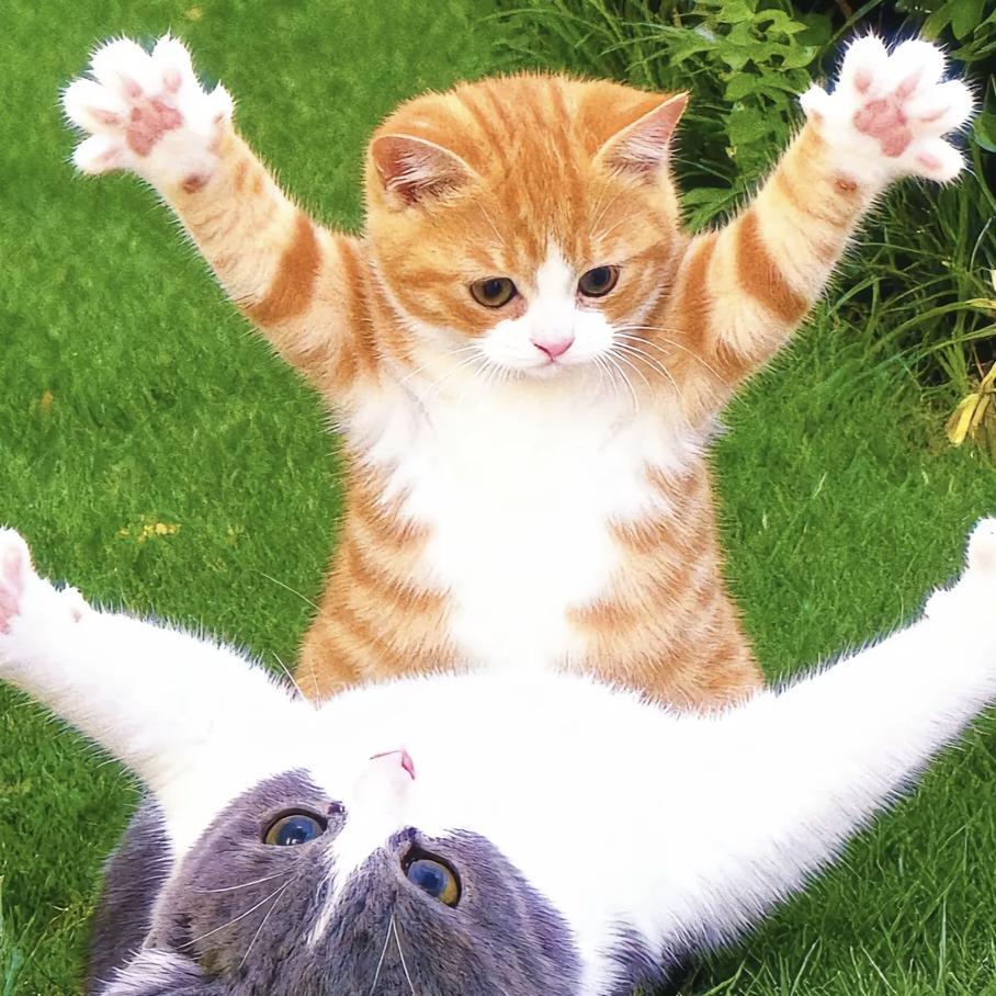 ⁺✞ʚ火乐大王ɞ✟₊