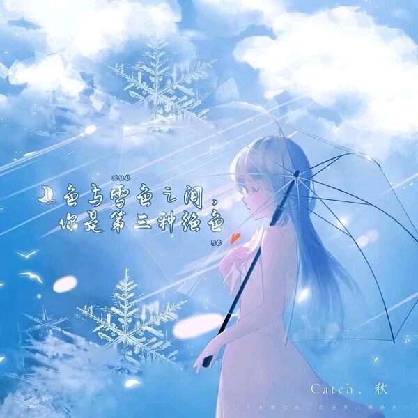 凝雨❄️