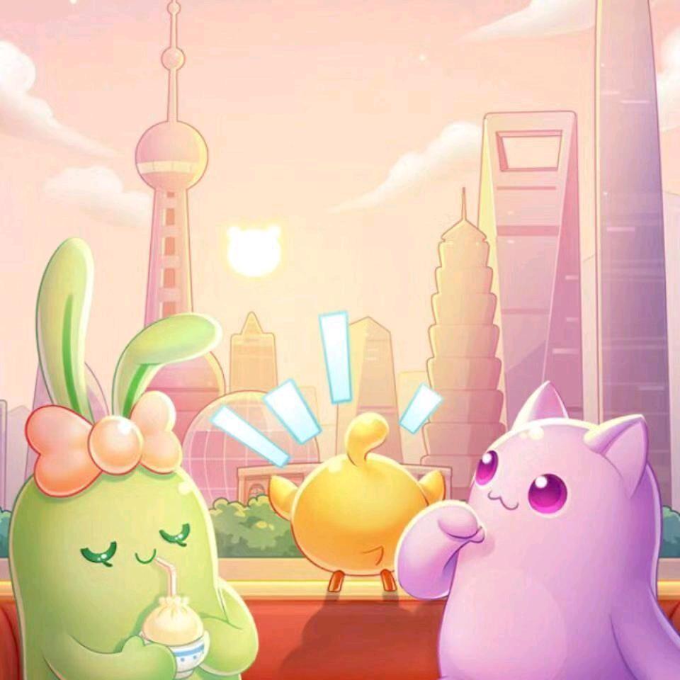 喵星星 干活停播中